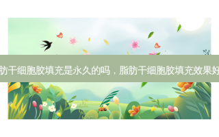 脂肪干细胞胶填充是永久的吗，脂肪干细胞胶填充效果好吗