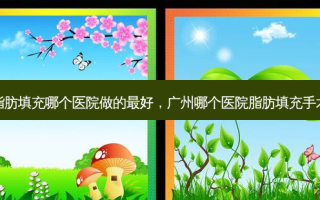 眼部脂肪填充哪个医院做的最好，广州哪个医院脂肪填充手术最好