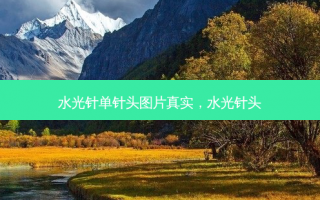 水光针单针头图片真实，水光针头