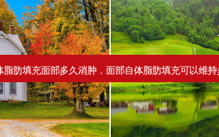 自体脂肪填充面部多久消肿，面部自体脂肪填充可以维持多久