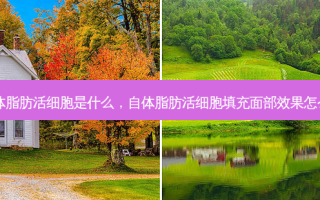 自体脂肪活细胞是什么，自体脂肪活细胞填充面部效果怎么样