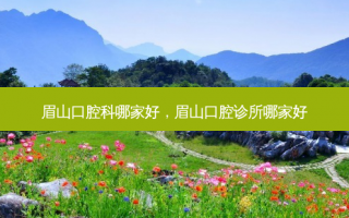 眉山口腔科哪家好，眉山口腔诊所哪家好