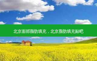 北京面部脂肪填充，北京脂肪填充贴吧