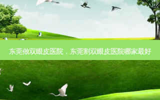 东莞做双眼皮医院，东莞割双眼皮医院哪家最好