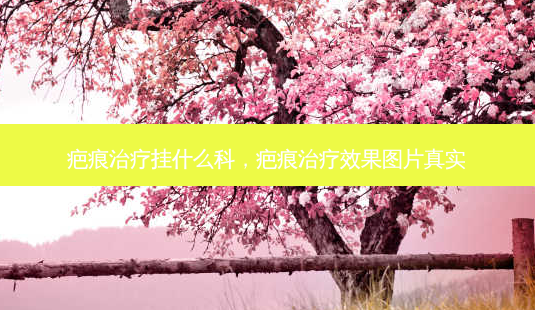疤痕治疗挂什么科,疤痕治疗效果图片真实-第1张图片-美和整形网 疤痕治疗挂什么科,疤痕治疗效果图片真实-第1张图片-美和整形网
