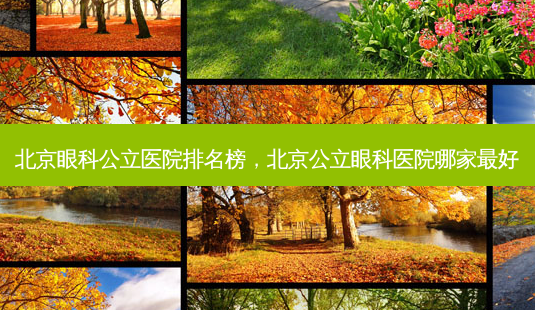 北京眼科公立医院排名榜，北京公立眼科医院哪家最好-第1张图片-美和整形网