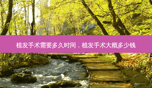 植发手术需要多久时间,植发手术大概多少钱-第1张图片-美和整形网 植发手术需要多久时间,植发手术大概多少钱-第1张图片-美和整形网