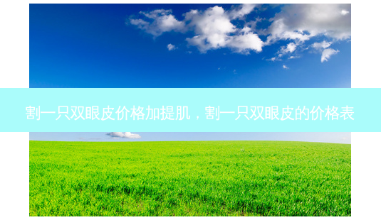 割一只双眼皮价格加提肌，割一只双眼皮的价格表-第1张图片-美和整形网