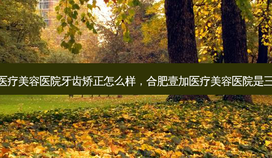 合肥壹加医疗美容医院牙齿矫正怎么样，合肥壹加医疗美容医院是三甲医院吗-第1张图片-美和整形网