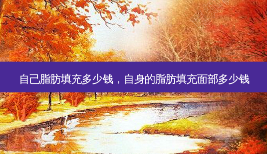 自己脂肪填充多少钱，自身的脂肪填充面部多少钱-第1张图片-美和整形网