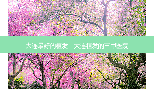 大连最好的植发,大连植发的三甲医院-第1张图片-美和整形网 大连最好的植发,大连植发的三甲医院-第1张图片-美和整形网