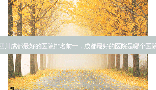 四川成都最好的医院排名前十,成都最好的医院是哪个医院-第1张图片-美和整形网 四川成都最好的医院排名前十,成都最好的医院是哪个医院-第1张图片-美和整形网