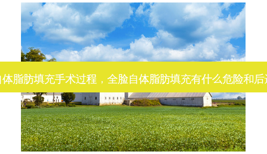 全脸自体脂肪填充手术过程,全脸自体脂肪填充有什么危险和后遗症吗-第1张图片-美和整形网 全脸自体脂肪填充手术过程,全脸自体脂肪填充有什么危险和后遗症吗-第1张图片-美和整形网