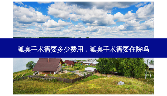 狐臭手术需要多少费用,狐臭手术需要住院吗-第1张图片-美和整形网 狐臭手术需要多少费用,狐臭手术需要住院吗-第1张图片-美和整形网