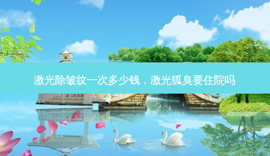 激光除皱纹一次多少钱，激光狐臭要住院吗-第1张图片-美和整形网