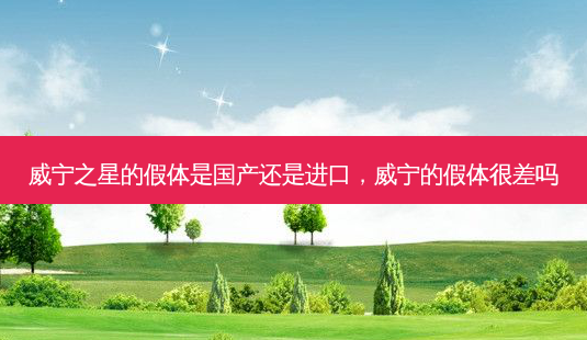 威宁之星的假体是国产还是进口,威宁的假体很差吗-第1张图片-美和整形网 威宁之星的假体是国产还是进口,威宁的假体很差吗-第1张图片-美和整形网