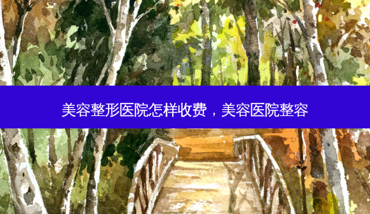 美容整形医院怎样收费，美容医院整容-第1张图片-美和整形网