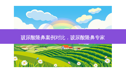 玻尿酸隆鼻案例对比,玻尿酸隆鼻专家-第1张图片-美和整形网 玻尿酸隆鼻案例对比,玻尿酸隆鼻专家-第1张图片-美和整形网
