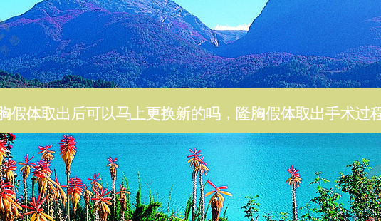 隆胸假体取出后可以马上更换新的吗,隆胸假体取出手术过程图-第1张图片-美和整形网 隆胸假体取出后可以马上更换新的吗,隆胸假体取出手术过程图-第1张图片-美和整形网