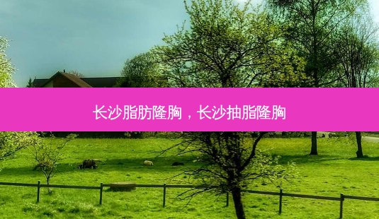 长沙脂肪隆胸,长沙抽脂隆胸-第1张图片-美和整形网 长沙脂肪隆胸,长沙抽脂隆胸-第1张图片-美和整形网
