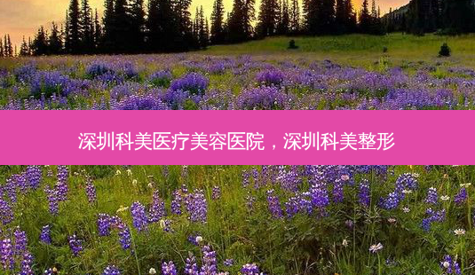 深圳科美医疗美容医院,深圳科美整形-第1张图片-美和整形网 深圳科美医疗美容医院,深圳科美整形-第1张图片-美和整形网