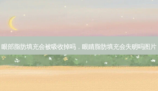 眼部脂肪填充会被吸收掉吗，眼睛脂肪填充会失明吗图片-第1张图片-美和整形网