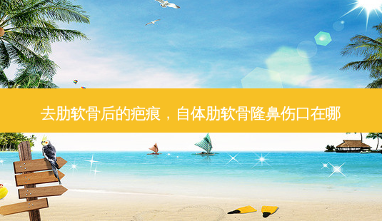去肋软骨后的疤痕,自体肋软骨隆鼻伤口在哪-第1张图片-美和整形网 去肋软骨后的疤痕,自体肋软骨隆鼻伤口在哪-第1张图片-美和整形网