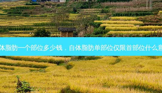 自体脂肪一个部位多少钱,自体脂肪单部位仅限首部位什么意思-第1张图片-美和整形网 自体脂肪一个部位多少钱,自体脂肪单部位仅限首部位什么意思-第1张图片-美和整形网