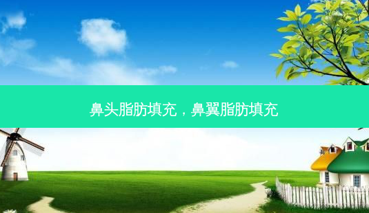 鼻头脂肪填充，鼻翼脂肪填充-第1张图片-美和整形网