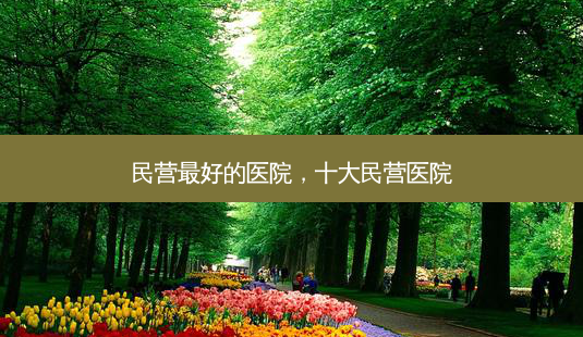民营最好的医院,十大民营医院-第1张图片-美和整形网 民营最好的医院,十大民营医院-第1张图片-美和整形网