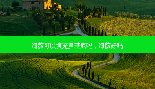 海薇可以填充鼻基底吗,海薇好吗-第1张图片-美和整形网 海薇可以填充鼻基底吗,海薇好吗-第1张图片-美和整形网
