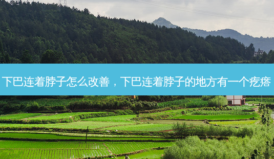 下巴连着脖子怎么改善,下巴连着脖子的地方有一个疙瘩-第1张图片-美和整形网 下巴连着脖子怎么改善,下巴连着脖子的地方有一个疙瘩-第1张图片-美和整形网