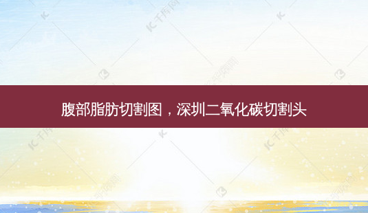 腹部脂肪切割图，深圳二氧化碳切割头-第1张图片-美和整形网