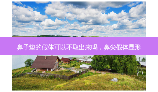鼻子垫的假体可以不取出来吗,鼻尖假体显形-第1张图片-美和整形网 鼻子垫的假体可以不取出来吗,鼻尖假体显形-第1张图片-美和整形网