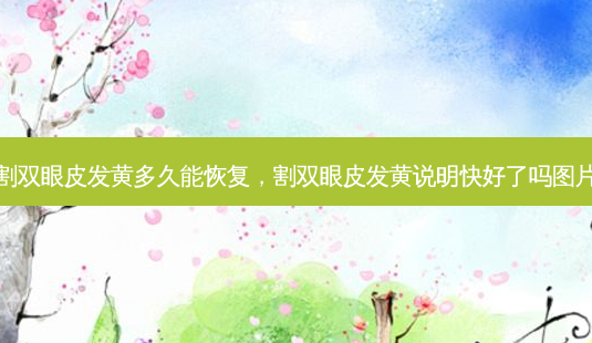 割双眼皮发黄多久能恢复，割双眼皮发黄说明快好了吗图片-第1张图片-美和整形网