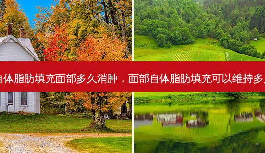 自体脂肪填充面部多久消肿,面部自体脂肪填充可以维持多久-第1张图片-美和整形网 自体脂肪填充面部多久消肿,面部自体脂肪填充可以维持多久-第1张图片-美和整形网