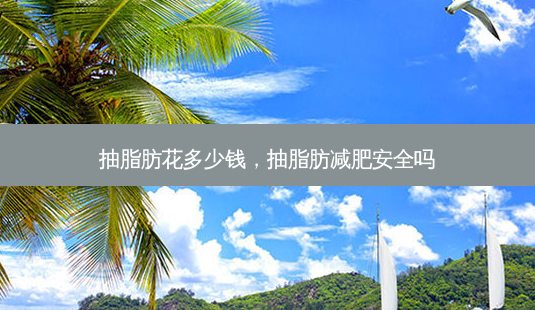 抽脂肪花多少钱,抽脂肪减肥安全吗-第1张图片-美和整形网 抽脂肪花多少钱,抽脂肪减肥安全吗-第1张图片-美和整形网