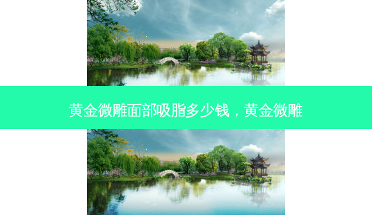 黄金微雕面部吸脂多少钱，黄金微雕-第1张图片-美和整形网