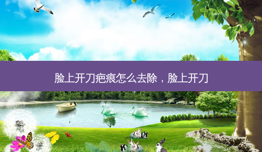 脸上开刀疤痕怎么去除,脸上开刀-第1张图片-美和整形网 脸上开刀疤痕怎么去除,脸上开刀-第1张图片-美和整形网