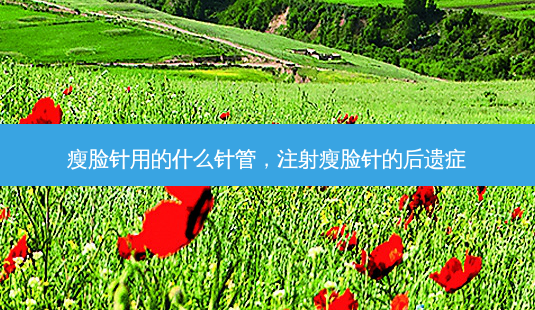 瘦脸针用的什么针管,注射瘦脸针的后遗症-第1张图片-美和整形网 瘦脸针用的什么针管,注射瘦脸针的后遗症-第1张图片-美和整形网