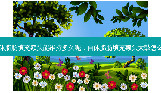 自体脂肪填充额头能维持多久呢,自体脂肪填充额头太鼓怎么办-第1张图片-美和整形网 自体脂肪填充额头能维持多久呢,自体脂肪填充额头太鼓怎么办-第1张图片-美和整形网