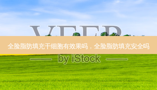全脸脂肪填充干细胞有效果吗,全脸脂肪填充安全吗-第1张图片-美和整形网 全脸脂肪填充干细胞有效果吗,全脸脂肪填充安全吗-第1张图片-美和整形网