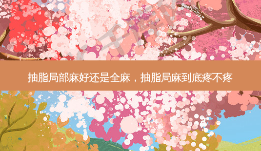 抽脂局部麻好还是全麻,抽脂局麻到底疼不疼-第1张图片-美和整形网 抽脂局部麻好还是全麻,抽脂局麻到底疼不疼-第1张图片-美和整形网