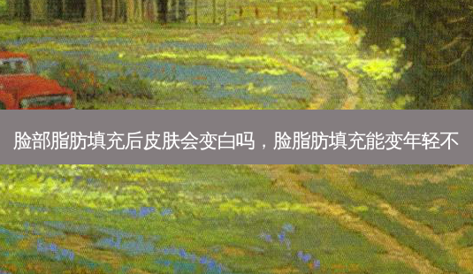 脸部脂肪填充后皮肤会变白吗,脸脂肪填充能变年轻不-第1张图片-美和整形网 脸部脂肪填充后皮肤会变白吗,脸脂肪填充能变年轻不-第1张图片-美和整形网