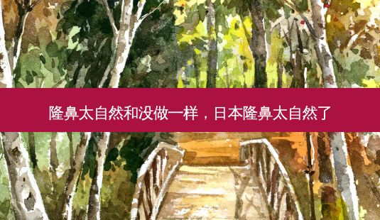 隆鼻太自然和没做一样,日本隆鼻太自然了-第1张图片-美和整形网 隆鼻太自然和没做一样,日本隆鼻太自然了-第1张图片-美和整形网