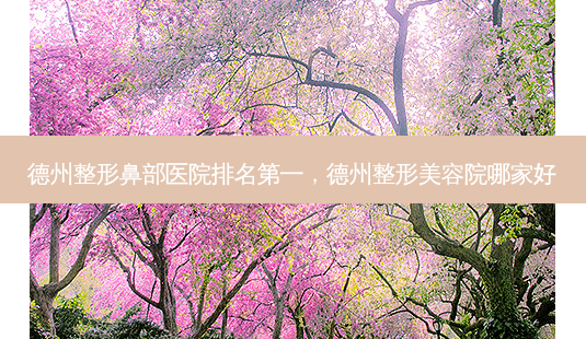 德州整形鼻部医院排名第一,德州整形美容院哪家好-第1张图片-美和整形网 德州整形鼻部医院排名第一,德州整形美容院哪家好-第1张图片-美和整形网