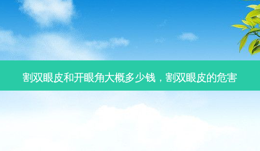割双眼皮和开眼角大概多少钱,割双眼皮的危害-第1张图片-美和整形网 割双眼皮和开眼角大概多少钱,割双眼皮的危害-第1张图片-美和整形网