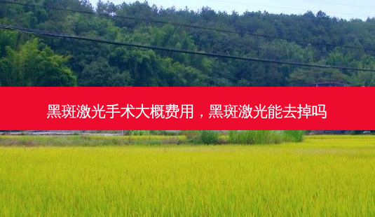 黑斑激光手术大概费用,黑斑激光能去掉吗-第1张图片-美和整形网 黑斑激光手术大概费用,黑斑激光能去掉吗-第1张图片-美和整形网
