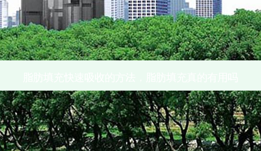 脂肪填充快速吸收的方法,脂肪填充真的有用吗-第1张图片-美和整形网 脂肪填充快速吸收的方法,脂肪填充真的有用吗-第1张图片-美和整形网