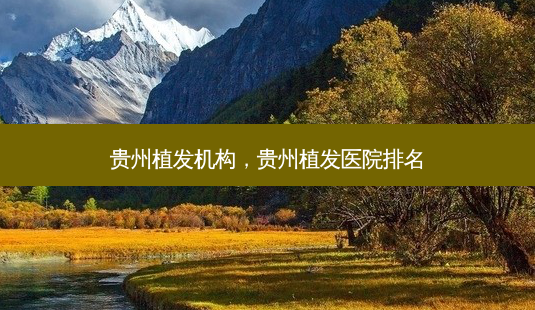 贵州植发机构,贵州植发医院排名-第1张图片-美和整形网 贵州植发机构,贵州植发医院排名-第1张图片-美和整形网